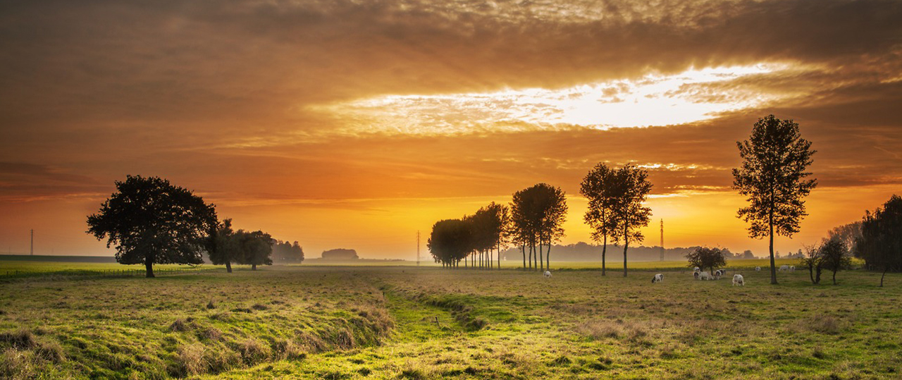 持续发卡平台的ddos网页在线攻击
